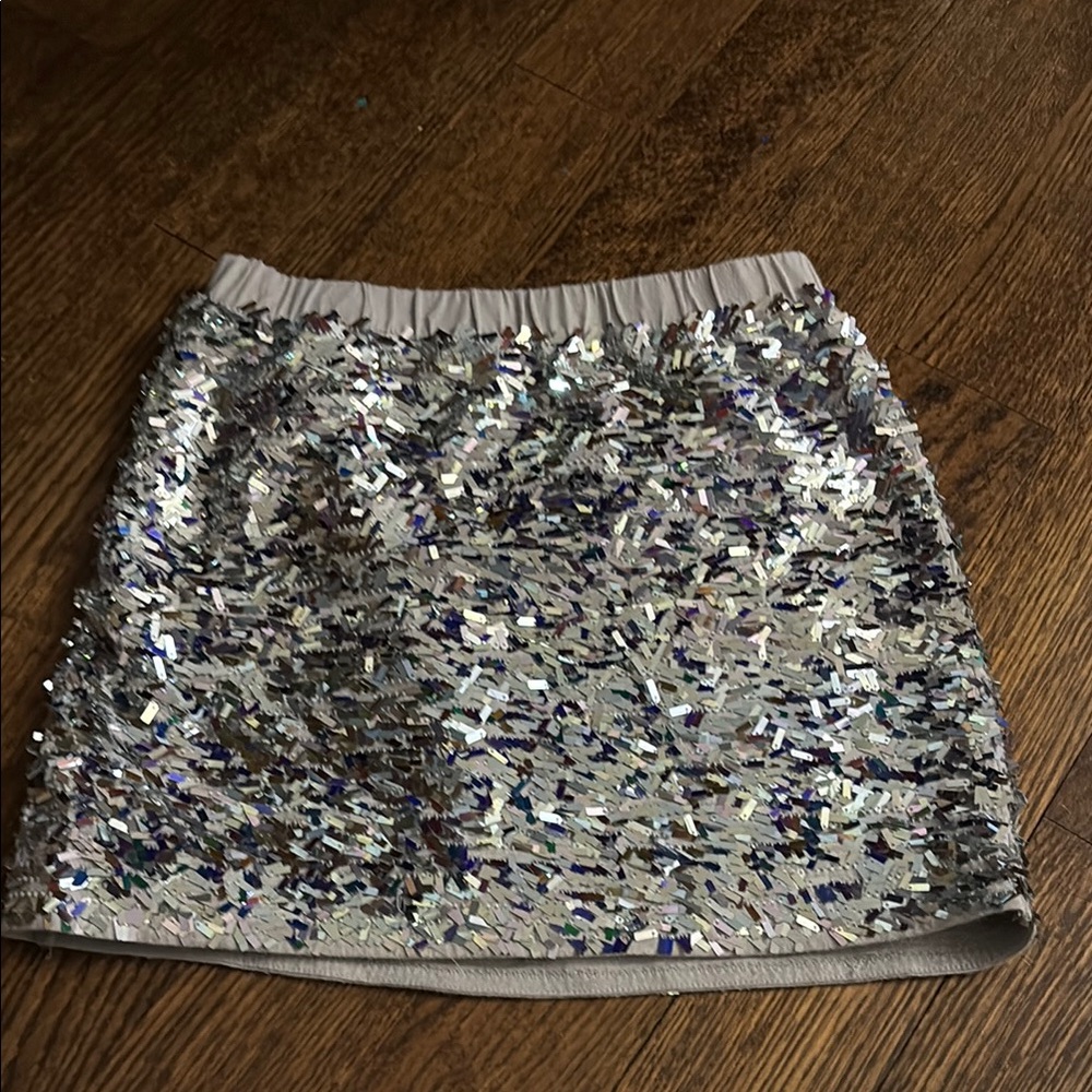 Silver Sequin Skirt